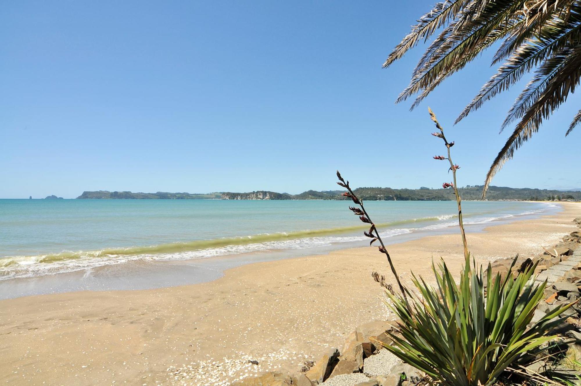 Whitianga Campground Exterior foto