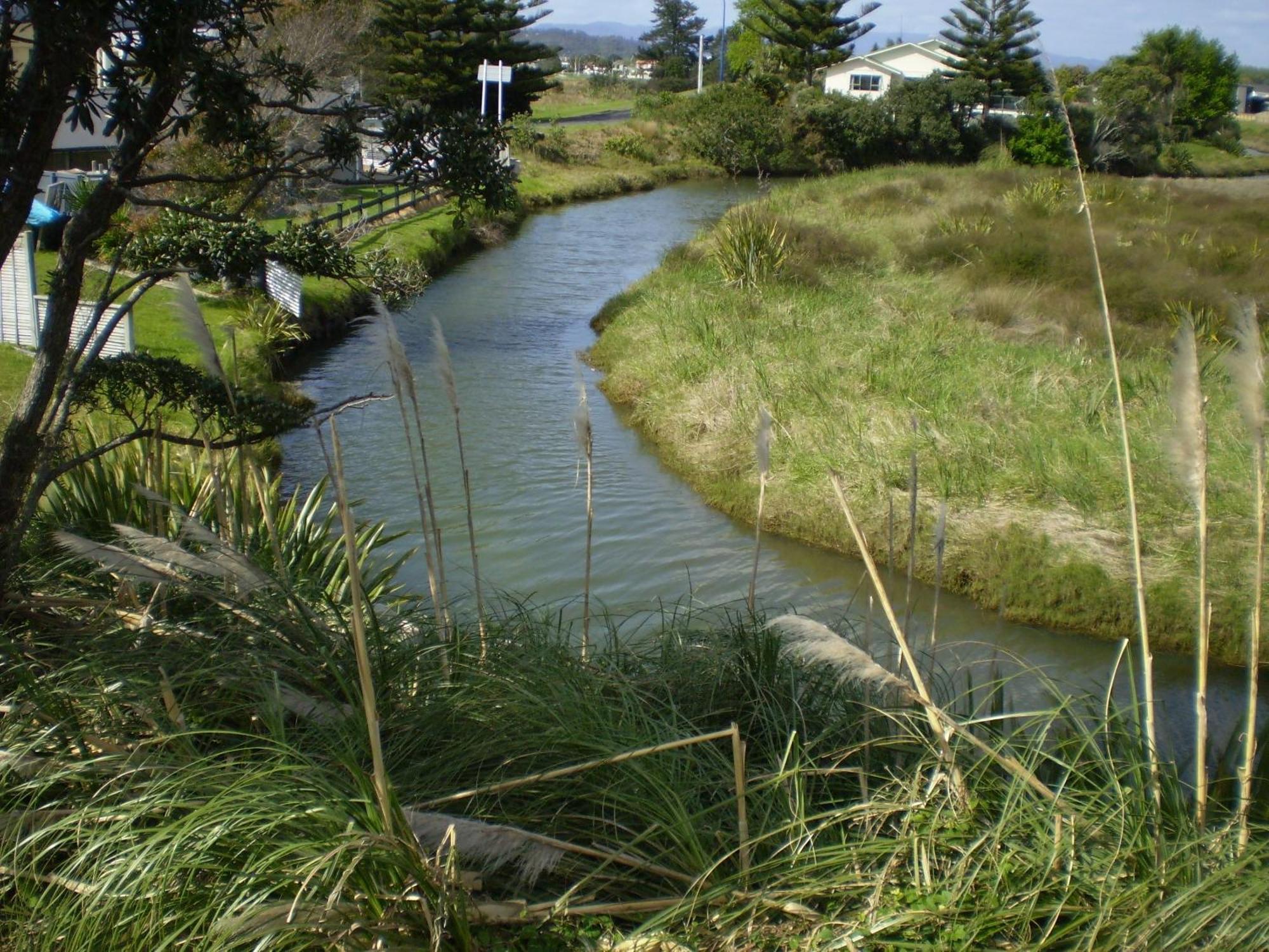 Whitianga Campground Exterior foto
